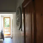 Séjour chez l'habitant Pod Kasztanem
