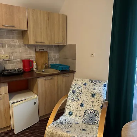 Pod Kasztanem Habitación en casa particular Wisła